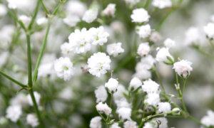 Rodeo Star Spencer Wright’s 3-Year-Old Son Removed From Life Support After Near-Drowning Accident